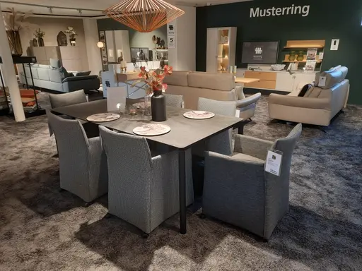 Stuhlsessel Gruppe PICARA 317